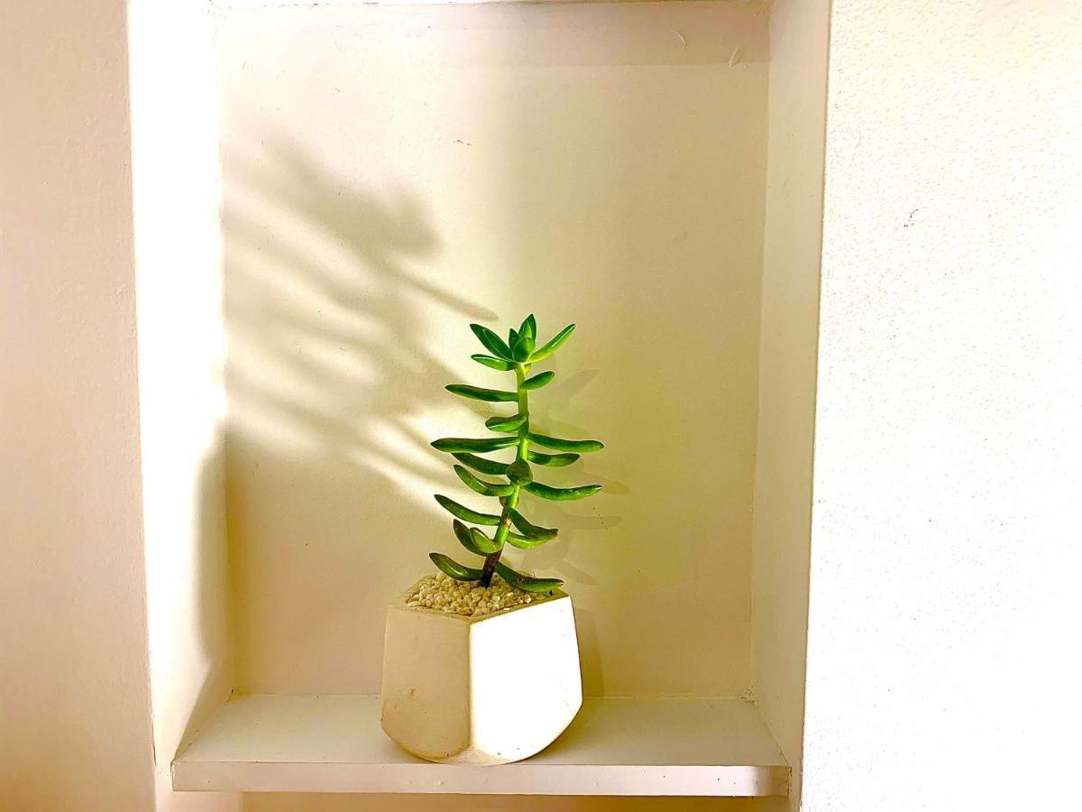 Casa Rambla Serra 칼리 외부 사진
